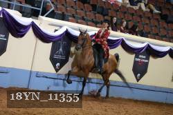 18YN_11355 thumbnail