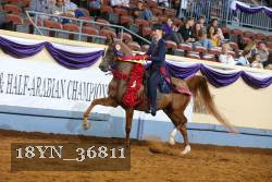 18YN_36811 thumbnail
