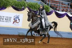 18YN_13832 thumbnail