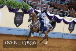 18YN_13836 thumbnail
