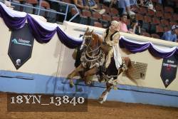 18YN_13840 thumbnail