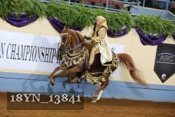 18YN_13841 thumbnail