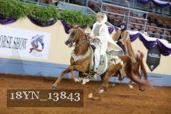 18YN_13843 thumbnail