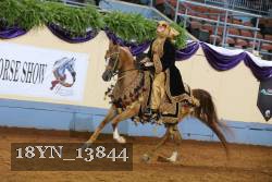 18YN_13844 thumbnail