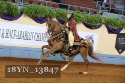 18YN_13847 thumbnail