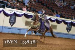 18YN_13848 thumbnail