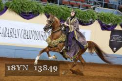 18YN_13849 thumbnail