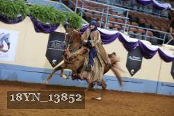 18YN_13852 thumbnail
