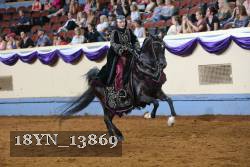 18YN_13869 thumbnail