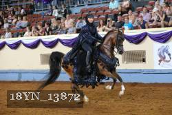 18YN_13872 thumbnail