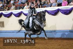 18YN_13874 thumbnail