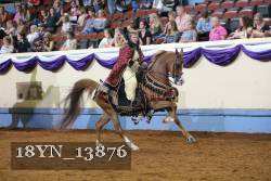 18YN_13876 thumbnail