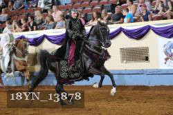18YN_13878 thumbnail