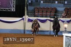 18YN_13907 thumbnail