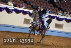 18YN_13952 thumbnail