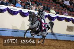 18YN_13964 thumbnail