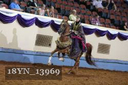 18YN_13969 thumbnail