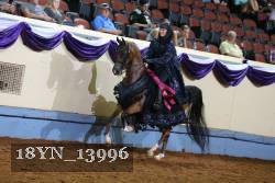 18YN_13996 thumbnail