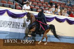 18YN_13997 thumbnail