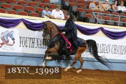 18YN_13998 thumbnail