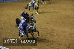 18YN_14000 thumbnail