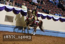 18YN_14003 thumbnail