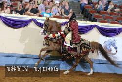 18YN_14006 thumbnail