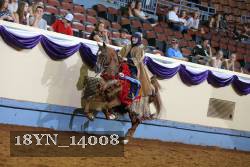 18YN_14008 thumbnail