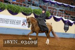 18YN_03400 thumbnail