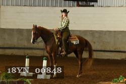 18YN_00848 thumbnail