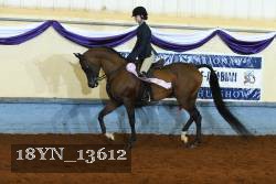 18YN_13612 thumbnail