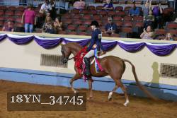18YN_34745 thumbnail