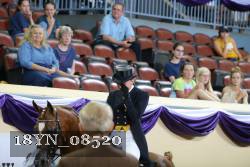18YN_08520 thumbnail
