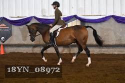18YN_08972 thumbnail