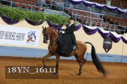 18YN_16111 thumbnail