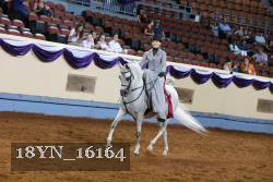 18YN_16164 thumbnail
