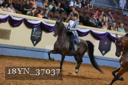 18YN_37037 thumbnail