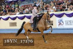 18YN_17176 thumbnail