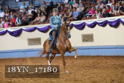 18YN_17180 thumbnail