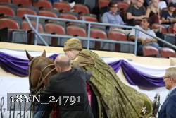 18YN_24791 thumbnail