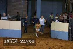 18YN_24792 thumbnail