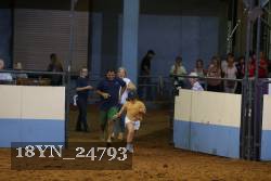 18YN_24793 thumbnail