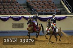 18YN_13276 thumbnail