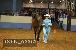 18YN_02212 thumbnail