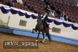 18YN_25234 thumbnail