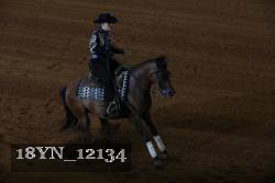 18YN_12134 thumbnail