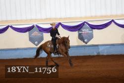 18YN_11756 thumbnail