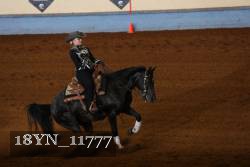 18YN_11777 thumbnail
