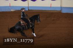 18YN_11779 thumbnail
