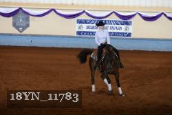 18YN_11783 thumbnail